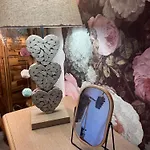 Petit Cocon Cosy Proche Place Stanislas Lägenhet *