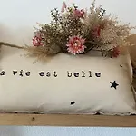 Petit Cocon Cosy Proche Place Stanislas * Nancy