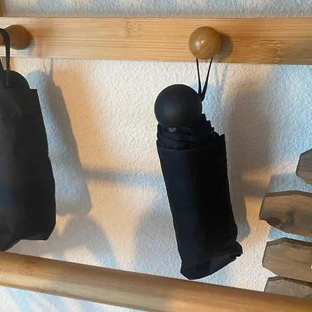 Apartman Petit Cocon Proche De Stanislas Nancy