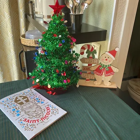 Petit Cocon Proche De Stanislas Lägenhet *