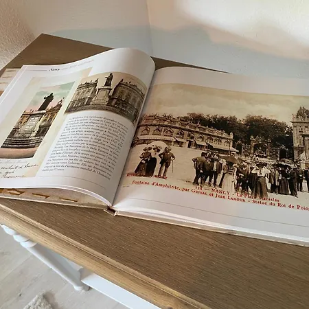 Petit Cocon Proche De Stanislas * Nancy