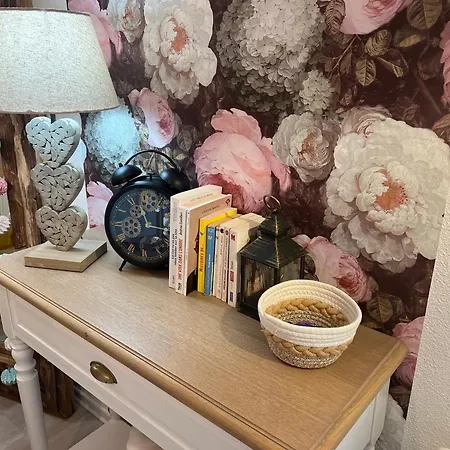 Petit Cocon Proche De Stanislas