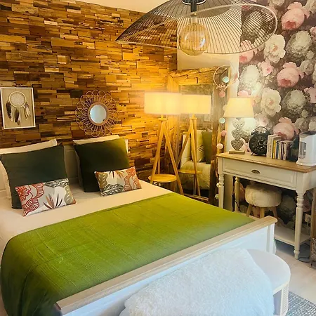 Petit Cocon Cosy Proche Place Stanislas-parking & Cave Velos נאנסי