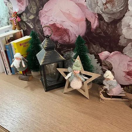 Apartman Petit Cocon Proche De Stanislas Nancy