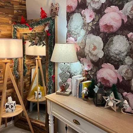 Apartamento Petit Cocon Cosy Proche Place Stanislas-parking&cave Vélos Nancy