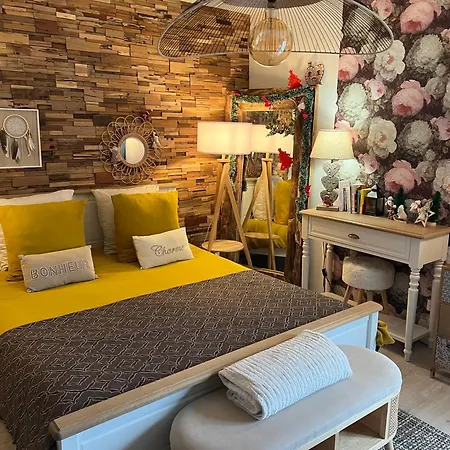 Petit Cocon Proche De Stanislas Apartman *