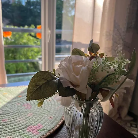 Lägenhet Petit Cocon Proche De Stanislas Nancy