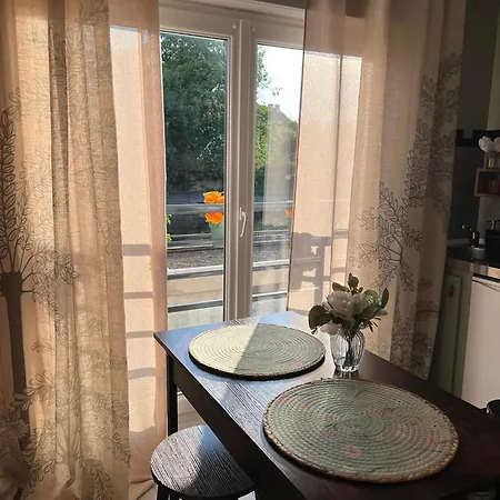 דירה Petit Cocon Cosy Proche Place Stanislas-parking & Cave Velos *