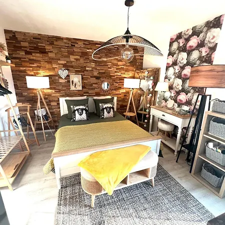 Petit Cocon Proche De Stanislas Apartman