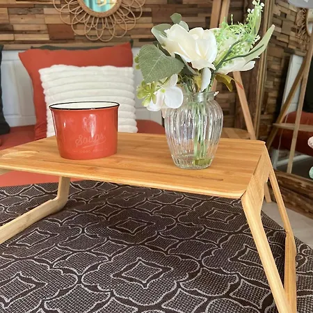 Petit Cocon Cosy Proche Place Stanislas-parking & Cave Velos דירה נאנסי
