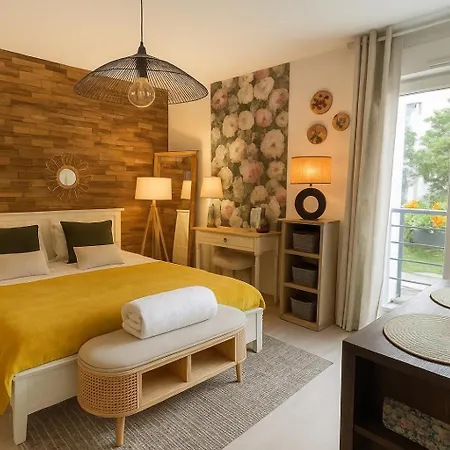 Petit Cocon Cosy Proche Place Stanislas-parking & Cave Velos נאנסי