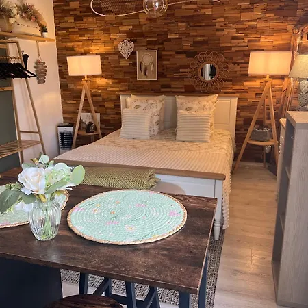 Petit Cocon Cosy Proche Place Stanislas-parking & Cave Velos * נאנסי