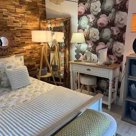 Petit Cocon Proche De Stanislas