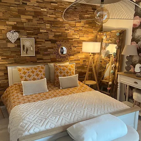 Apartman Petit Cocon Cosy Proche Place Stanislas-parking & Cave Velos Nancy