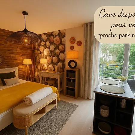 Petit Cocon Proche De Stanislas Apartman