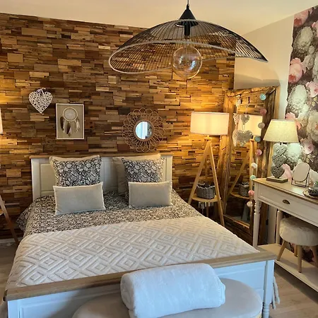 Petit Cocon Proche De Stanislas