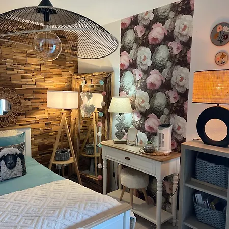 公寓 Petit Cocon Cosy Proche Place Stanislas-parking & Cave Velos
