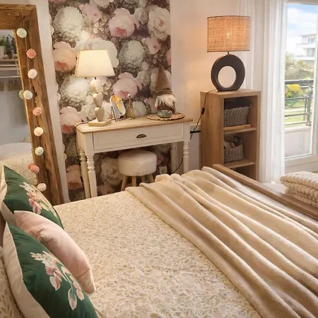 Апартаменты Petit Cocon Cosy Proche Place Stanislas Нанси