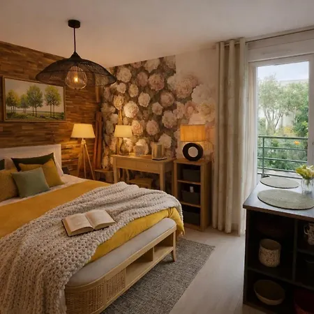 Petit Cocon Cosy Proche Place Stanislas Apartman Nancy