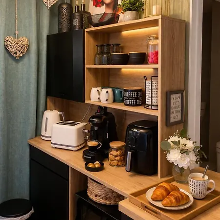Apartamento Petit Cocon Cosy Proche Place Stanislas-parking&cave Vélos *