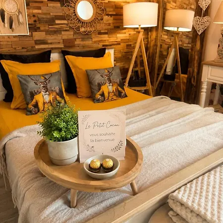 Petit Cocon Cosy Proche Place Stanislas-parking & Cave Velos דירה