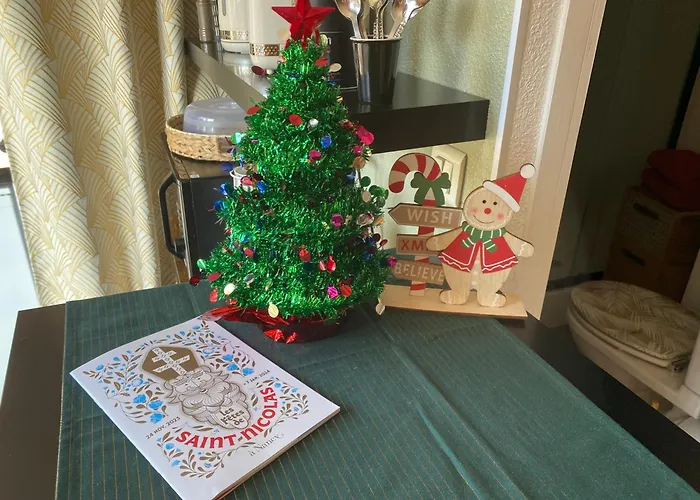 Petit Cocon Cosy Proche Place Stanislas Apartamento *