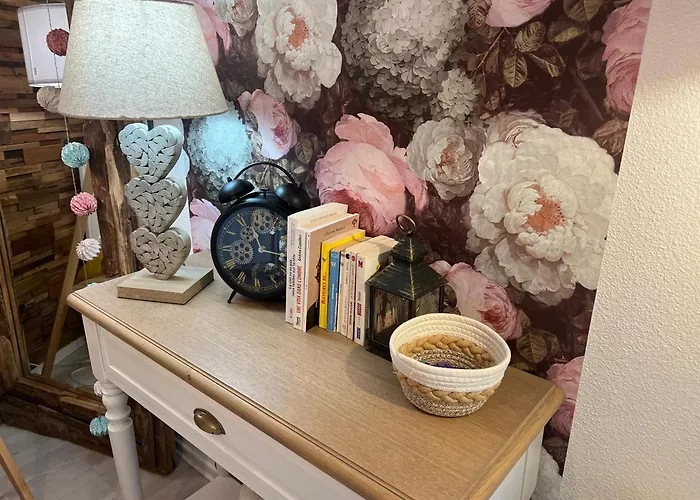 Petit Cocon Cosy Proche Place Stanislas