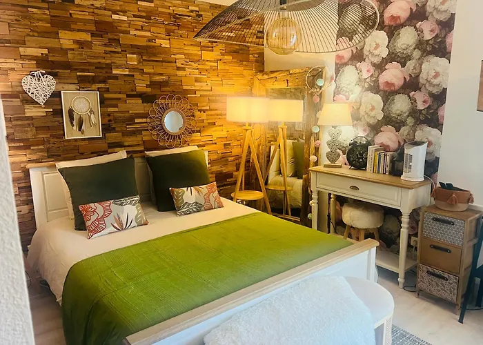 Petit Cocon Proche De Stanislas Nancy