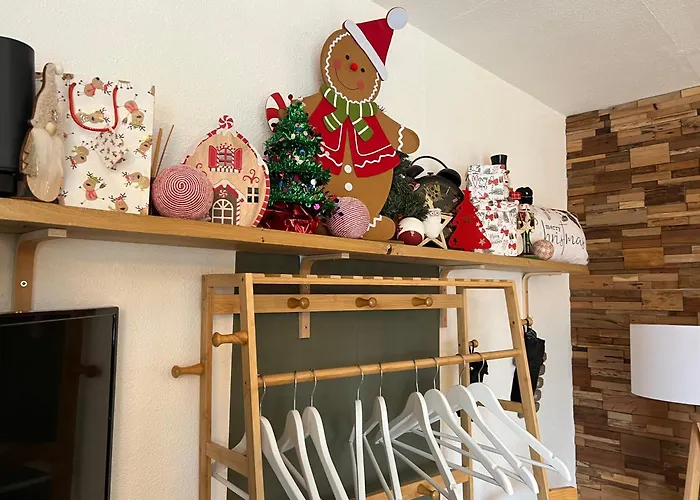 Petit Cocon Cosy Proche Place Stanislas Apartamento *