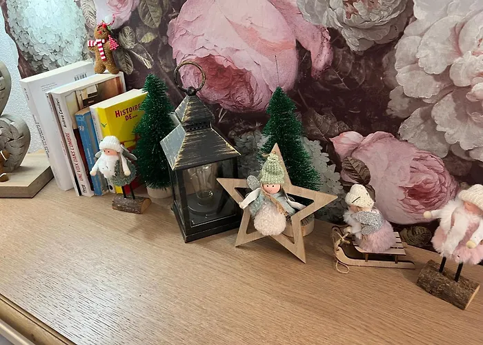 Apartamento Petit Cocon Cosy Proche Place Stanislas Nancy