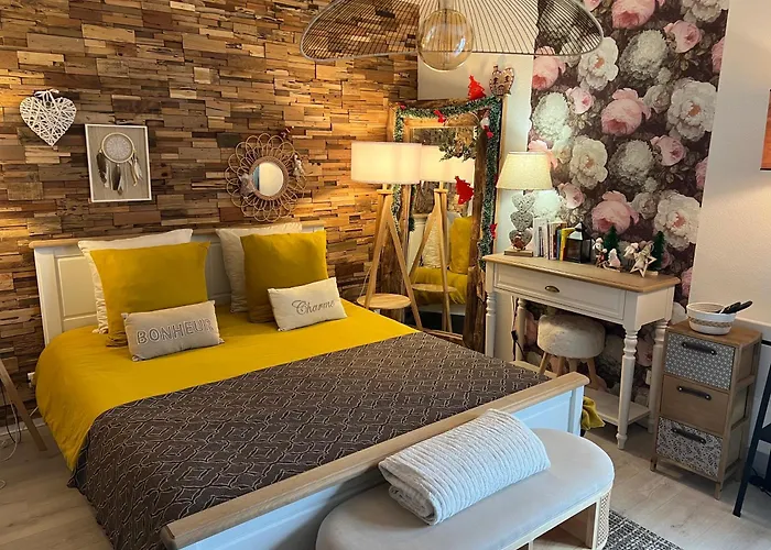 Petit Cocon Cosy Proche Place Stanislas Apartamento *