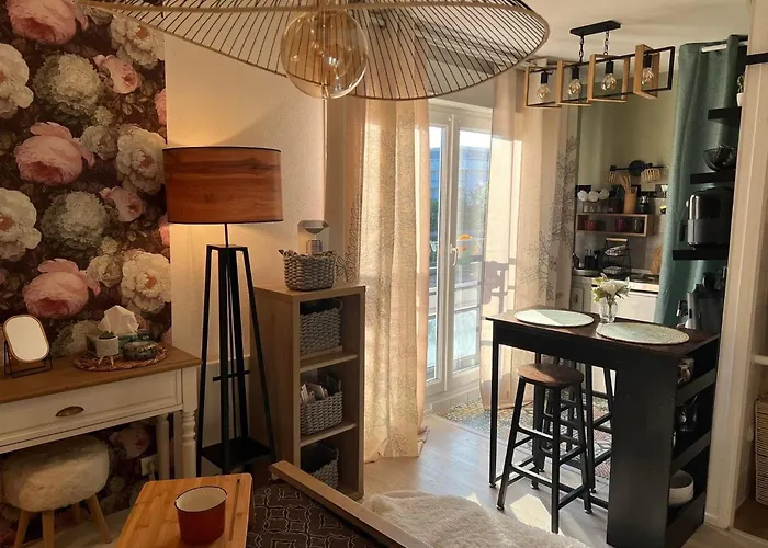 Petit Cocon Proche De Stanislas * Nancy