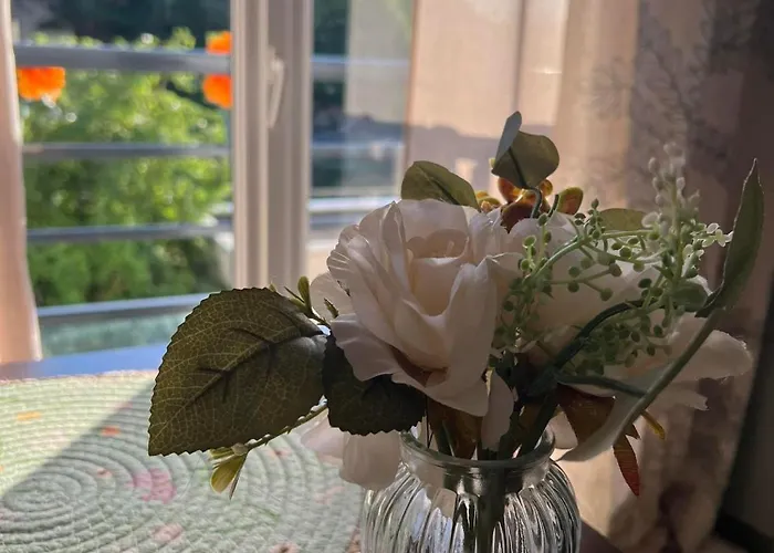 Apartamento Petit Cocon Cosy Proche Place Stanislas Nancy