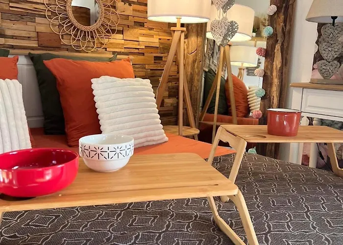 Petit Cocon Cosy Proche Place Stanislas Daire