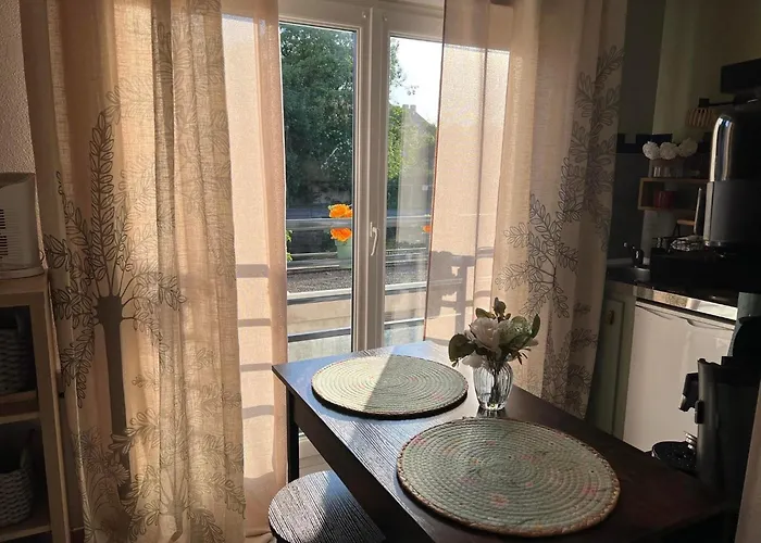 Apartamento Petit Cocon Cosy Proche Place Stanislas *