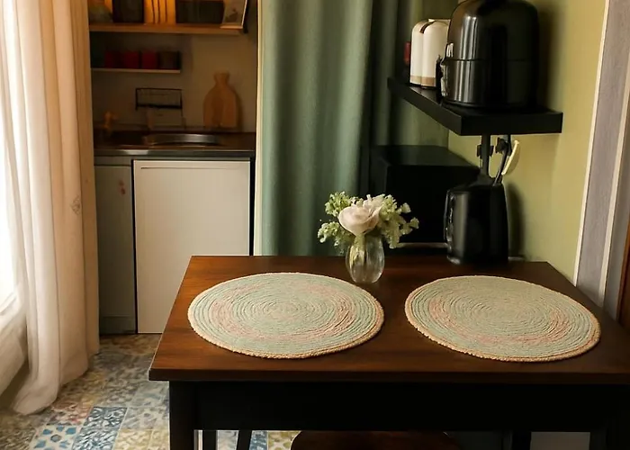 Apartment Petit Cocon Proche De Stanislas Nancy