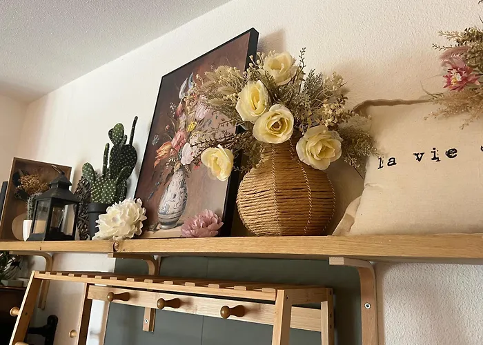 Petit Cocon Cosy Proche Place Stanislas Nancy