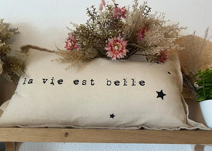 Petit Cocon Cosy Proche Place Stanislas * Нанси