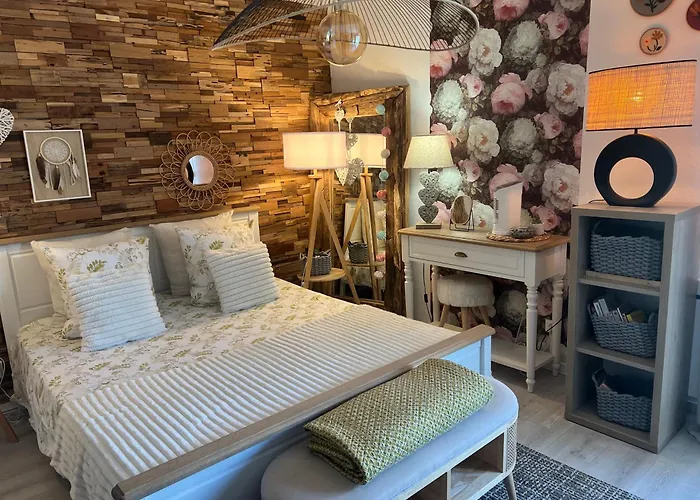 Petit Cocon Proche De Stanislas Nancy