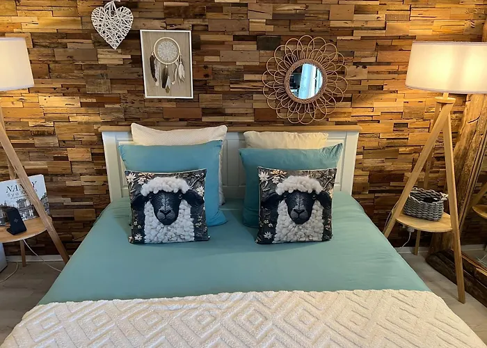 Petit Cocon Cosy Proche Place Stanislas Apartamento *